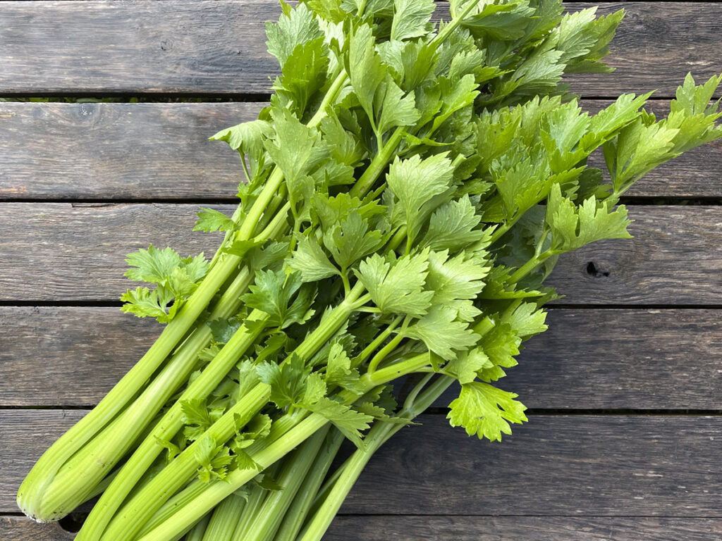 Health Benefits of Celery