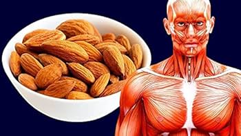 Discover the incredible benefits of almonds,