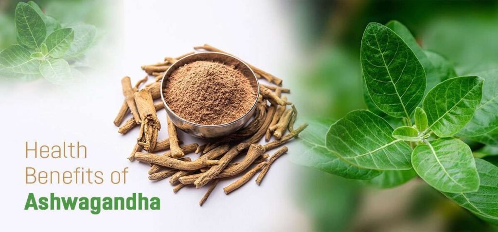 Health Benefits of Ashwagandha