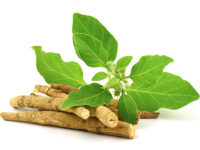 8 Benefits of Ashwagandha & Key Nutritional Highlights